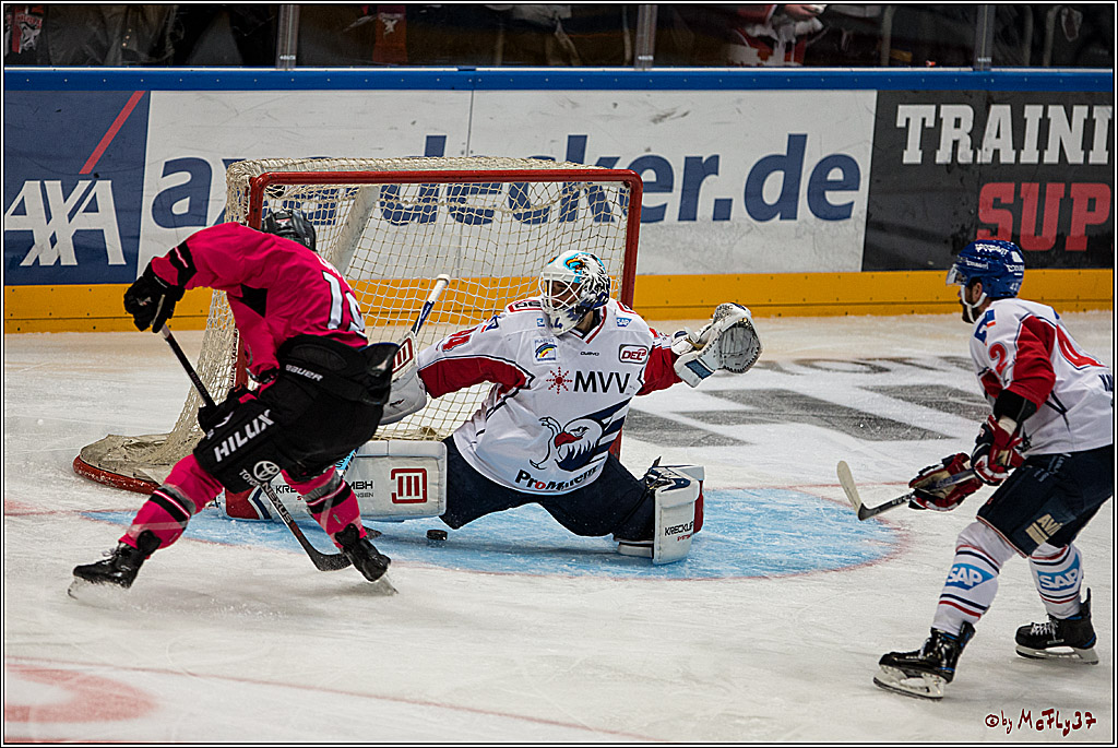 Koelner Haie - Adler Mannheim, 30.10.2016